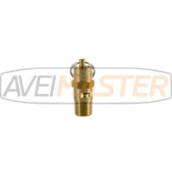 Poistný ventil w / Muž 1/4 tlakovú nádrž - 155 PSI