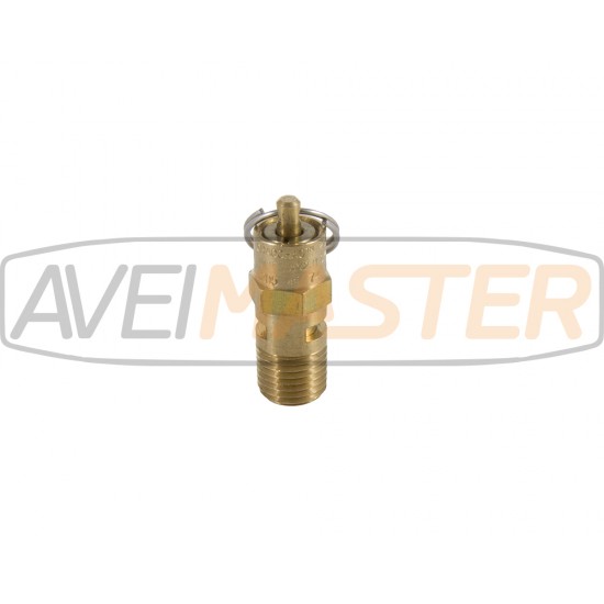 Poistný ventil w / Muž 1/4 tlakovú nádrž - 205 PSI